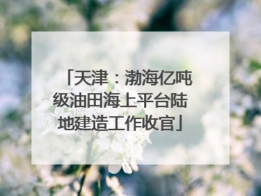 天津：渤海亿吨级油田海上平台陆地建造工作收官