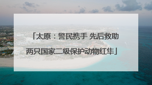太原：警民携手 先后救助两只国家二级保护动物红隼