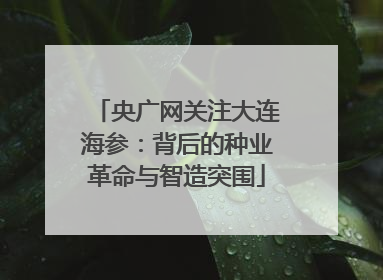 央广网关注大连海参：背后的种业革命与智造突围