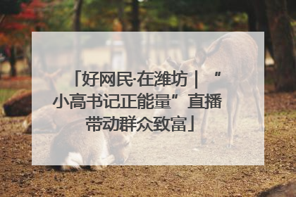好网民·在潍坊｜“小高书记正能量”直播 带动群众致富