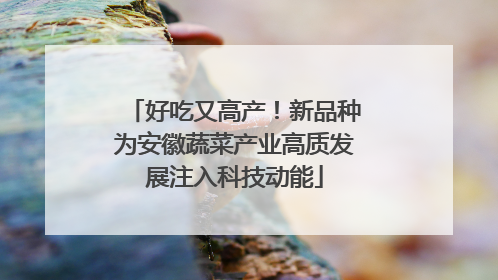好吃又高产！新品种为安徽蔬菜产业高质发展注入科技动能