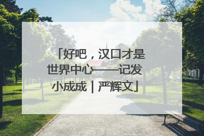 好吧，汉口才是世界中心——记发小成成｜严辉文