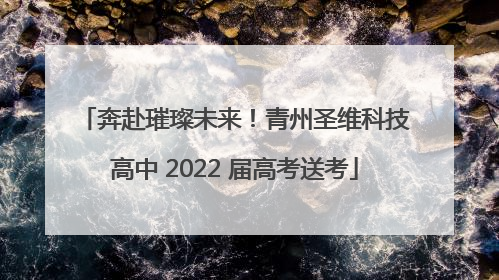 奔赴璀璨未来！青州圣维科技高中 2022 届高考送考