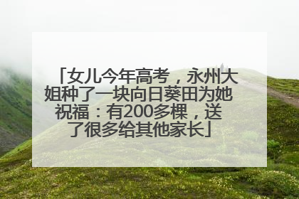 女儿今年高考，永州大姐种了一块向日葵田为她祝福：有200多棵，送了很多给其他家长