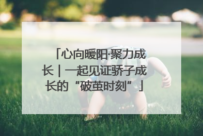 心向暖阳·聚力成长｜一起见证骄子成长的“破茧时刻”