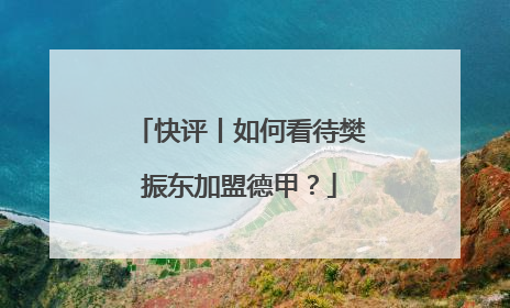 快评丨如何看待樊振东加盟德甲？