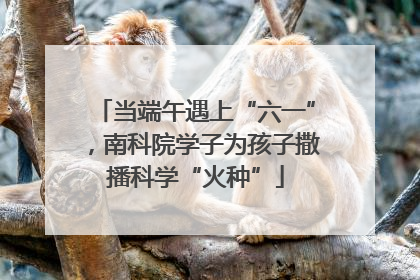 当端午遇上“六一”，南科院学子为孩子撒播科学“火种”