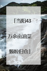 当阳43万余亩油菜颗粒归仓