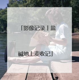 影像记录丨盐碱地上麦收记