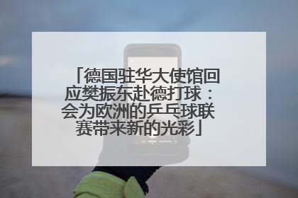 德国驻华大使馆回应樊振东赴德打球：会为欧洲的乒乓球联赛带来新的光彩