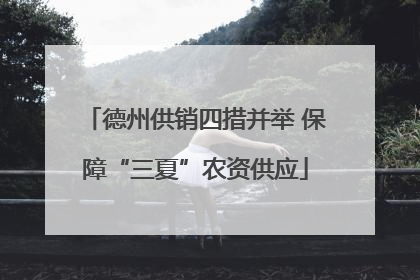 德州供销四措并举 保障“三夏”农资供应