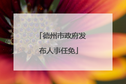 德州市政府发布人事任免