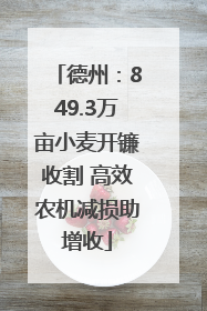 德州：849.3万亩小麦开镰收割 高效农机减损助增收