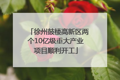 徐州鼓楼高新区两个10亿级重大产业项目顺利开工