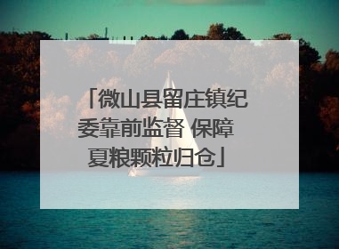 微山县留庄镇纪委靠前监督 保障夏粮颗粒归仓