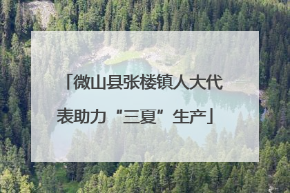 微山县张楼镇人大代表助力“三夏”生产