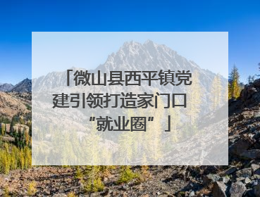 微山县西平镇党建引领打造家门口“就业圈”