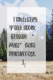 微山县西平镇妇联收获锦旗 “两癌”保险理赔解民忧