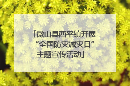 微山县西平镇开展“全国防灾减灾日”主题宣传活动