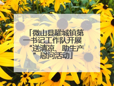 微山县驩城镇第一书记工作队开展“送清凉、助生产”慰问活动