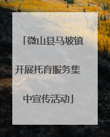 微山县马坡镇开展托育服务集中宣传活动