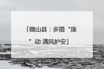 微山县：多措“廉”动 清风护安