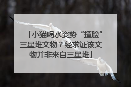 小猫喝水姿势“撞脸”三星堆文物？经求证该文物并非来自三星堆
