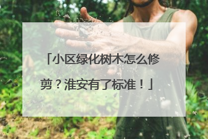 小区绿化树木怎么修剪？淮安有了标准！