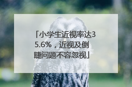 小学生近视率达35.6%，近视及倒睫问题不容忽视