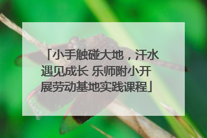 小手触碰大地，汗水遇见成长 乐师附小开展劳动基地实践课程