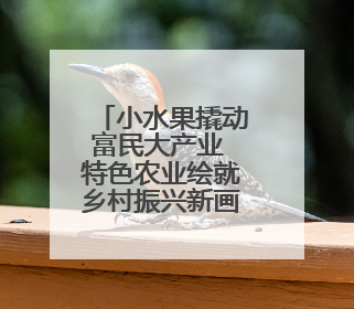 小水果撬动富民大产业 特色农业绘就乡村振兴新画卷