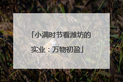 小满时节看潍坊的实业：万物初盈