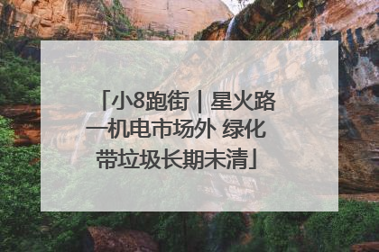 小8跑街｜星火路一机电市场外 绿化带垃圾长期未清