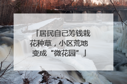 居民自己筹钱栽花种草，小区荒地变成“微花园”