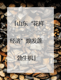 山东“花样经济”焕发蓬勃生机