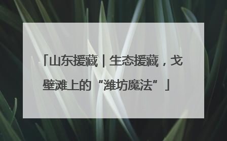 山东援藏｜生态援藏，戈壁滩上的“潍坊魔法”