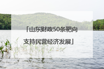 山东财政50条靶向支持民营经济发展