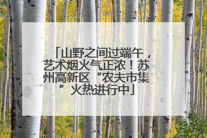 山野之间过端午，艺术烟火气正浓！苏州高新区“农夫市集”火热进行中