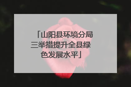 山阳县环境分局三举措提升全县绿色发展水平