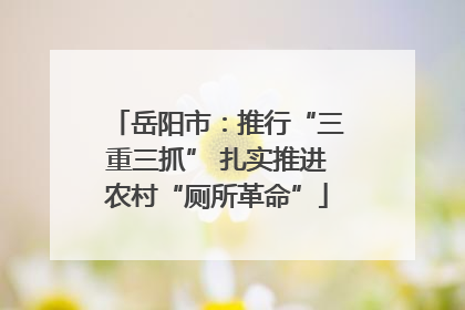 岳阳市：推行“三重三抓” 扎实推进农村“厕所革命”