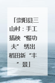 崇阳县三山村：手工插秧“慢功夫” 绣出稻田新“丰”景
