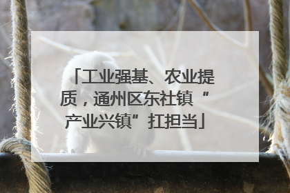 工业强基、农业提质，通州区东社镇“产业兴镇”扛担当