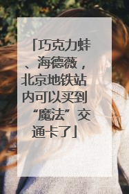 巧克力蛙、海德薇，北京地铁站内可以买到“魔法”交通卡了