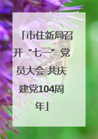市住新局召开“七一”党员大会 共庆建党104周年