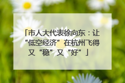 市人大代表徐向东：让“低空经济”在杭州飞得又“稳”又“好”