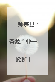 师宗县：香葱产业一路鲜