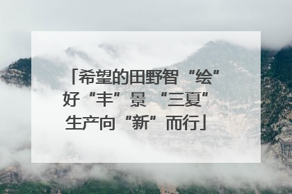 希望的田野智“绘”好“丰”景 “三夏”生产向“新”而行