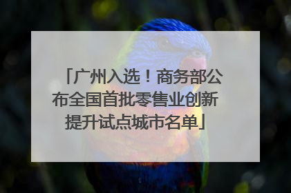 广州入选！商务部公布全国首批零售业创新提升试点城市名单