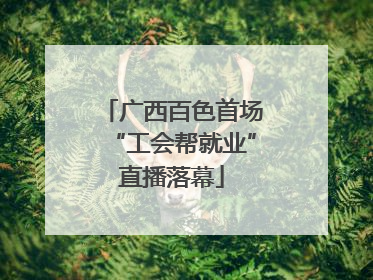 广西百色首场“工会帮就业”直播落幕