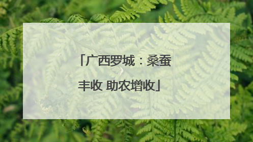 广西罗城：桑蚕丰收 助农增收